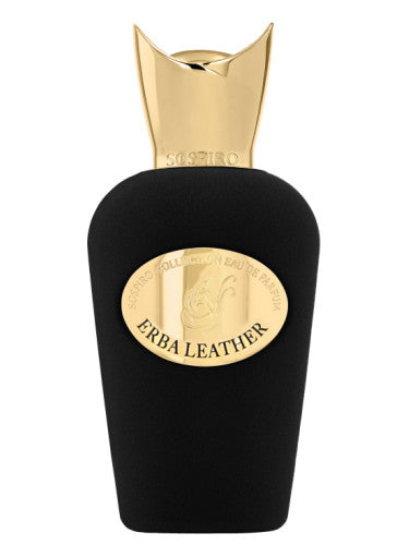 Erba Leather (100ml) EDP